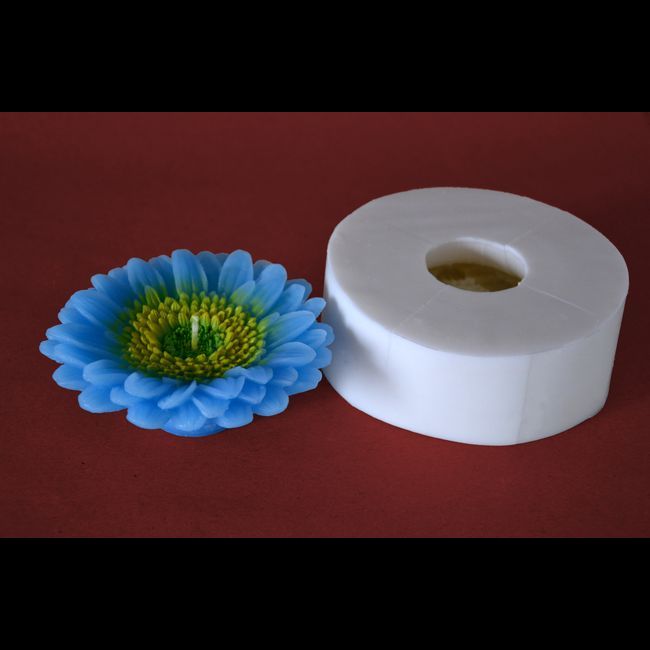 Květ Kopretina velká - průměr 12,5cm