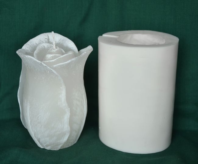 Růže - vysoký květ - výška 12cm