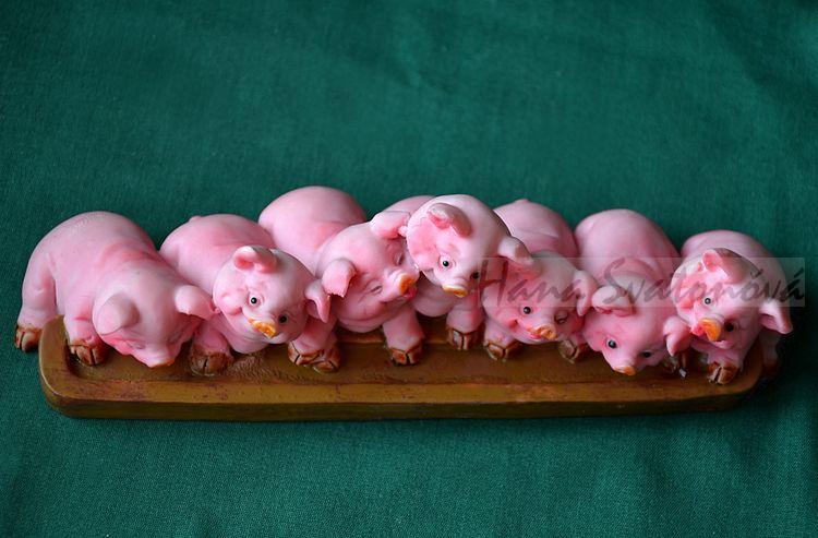 Sedum prasátek - šířka 18cm