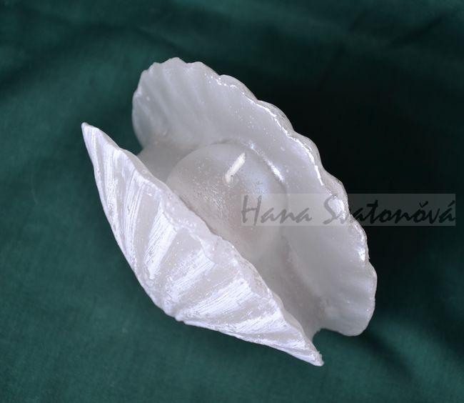 Mušle otevřená s perlou, výška 10cm