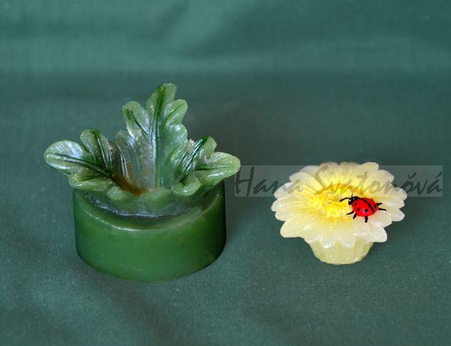 Kopretina s beruškou