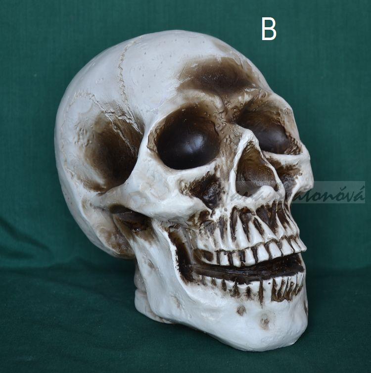 Lebka velká - výška 17cm