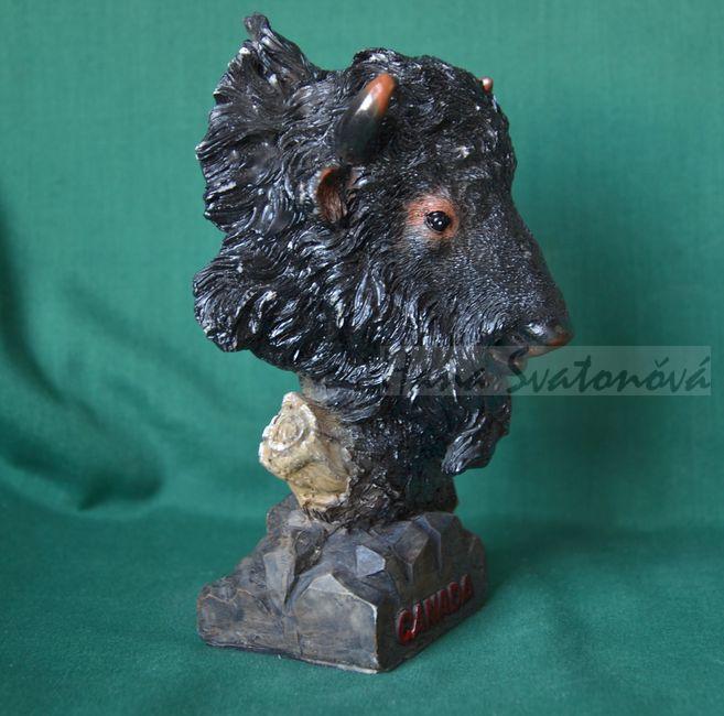 Hlava Bizona - výška 14cm